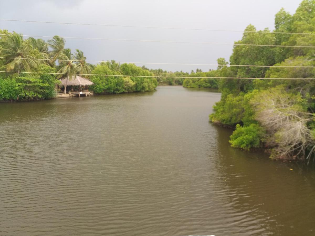 Silent Peacock Villa And Peacock Cafe Tangalle Exterior foto